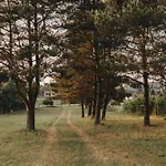 Sliwkowy Sad-plum Orchard-jura *