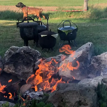 Dom wakacyjny śliwkowy Sad-plum Orchard-jura