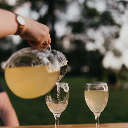 Dom wakacyjny śliwkowy Sad-plum Orchard-jura