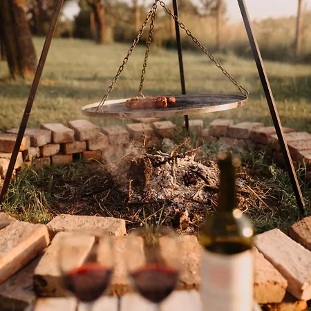Dom wakacyjny śliwkowy Sad-plum Orchard-jura *