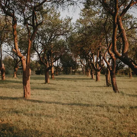 Ferienhaus Sliwkowy Sad-plum Orchard Mirow (Silesia)