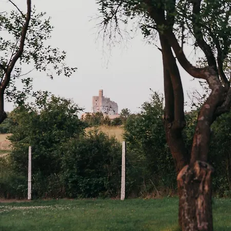Sliwkowy Sad-plum Orchard-jura *