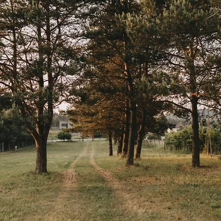 Sliwkowy Sad-plum Orchard-jura *