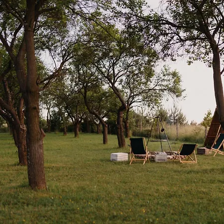 Dom wakacyjny śliwkowy Sad-plum Orchard-jura