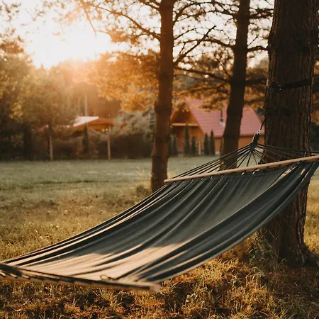 Dom wakacyjny śliwkowy Sad-plum Orchard-jura Mirow (Silesia)