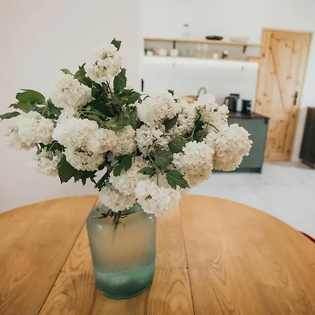 śliwkowy Sad-plum Orchard-jura