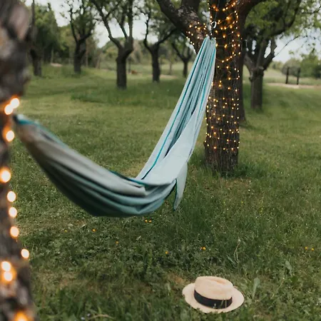 śliwkowy Sad-plum Orchard-jura *