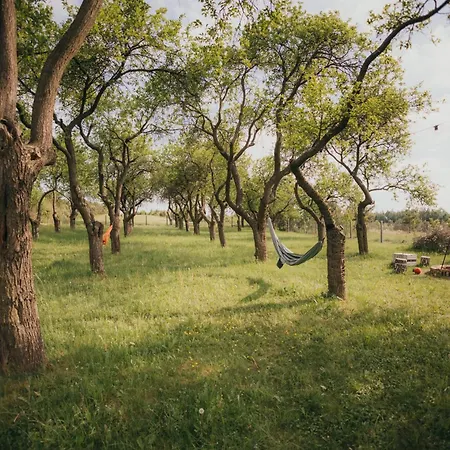 Σπίτι διακοπών Sliwkowy Sad-plum Orchard-jura
