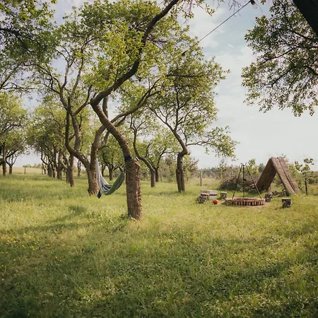 Σπίτι διακοπών Sliwkowy Sad-plum Orchard-jura *