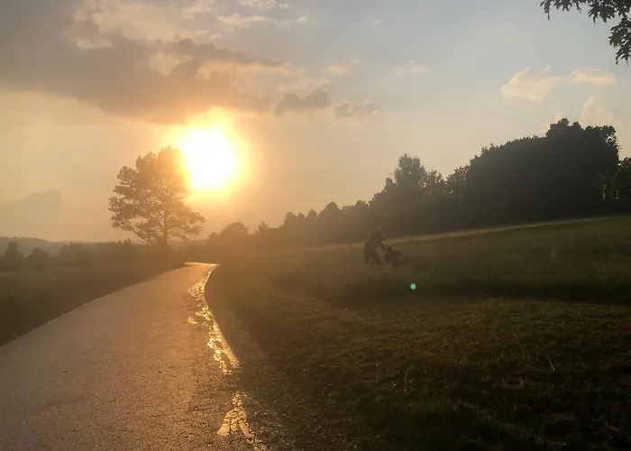 śliwkowy Sad-plum Orchard-jura Dom wakacyjny Mirow (Silesia)
