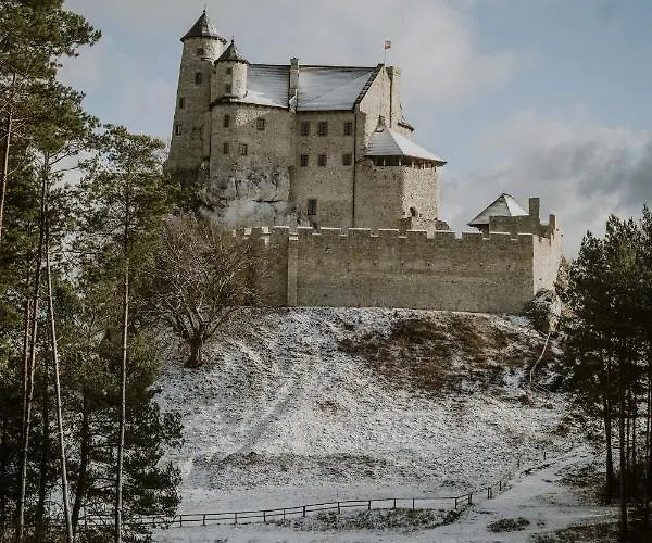 śliwkowy Sad-plum Orchard-jura *