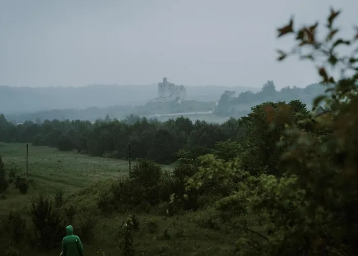 Dom wakacyjny śliwkowy Sad-plum Orchard-jura