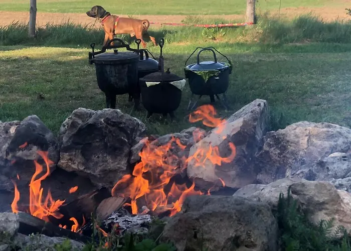 Dom wakacyjny śliwkowy Sad-plum Orchard-jura