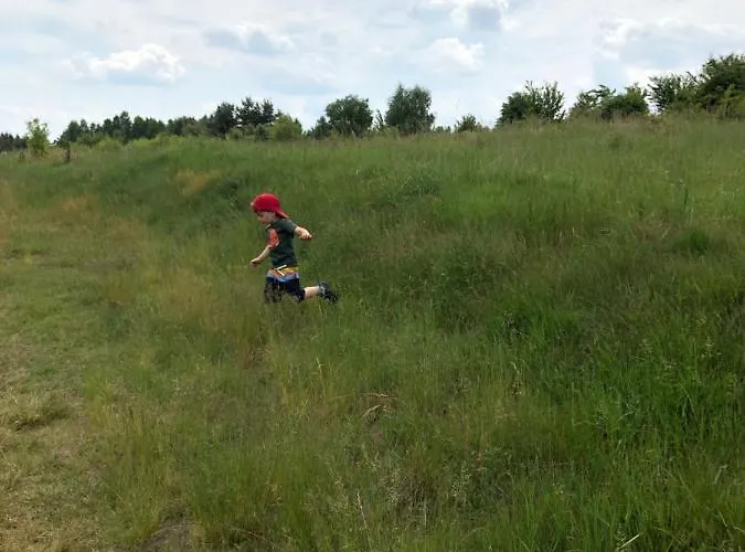 śliwkowy Sad-plum Orchard-jura Dom wakacyjny