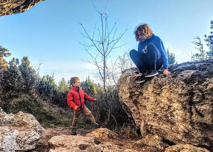 śliwkowy Sad-plum Orchard-jura Dom wakacyjny Mirow (Silesia)