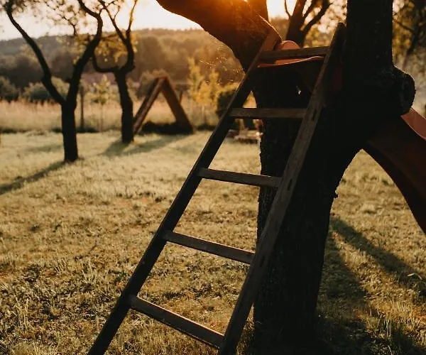 Sliwkowy Sad-plum Orchard-jura Casa vacanze Mirow (Silesia)