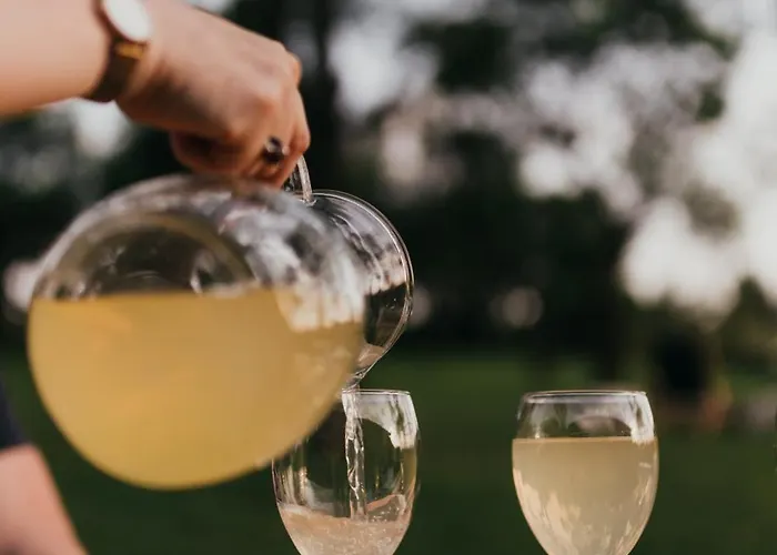 Dom wakacyjny śliwkowy Sad-plum Orchard-jura