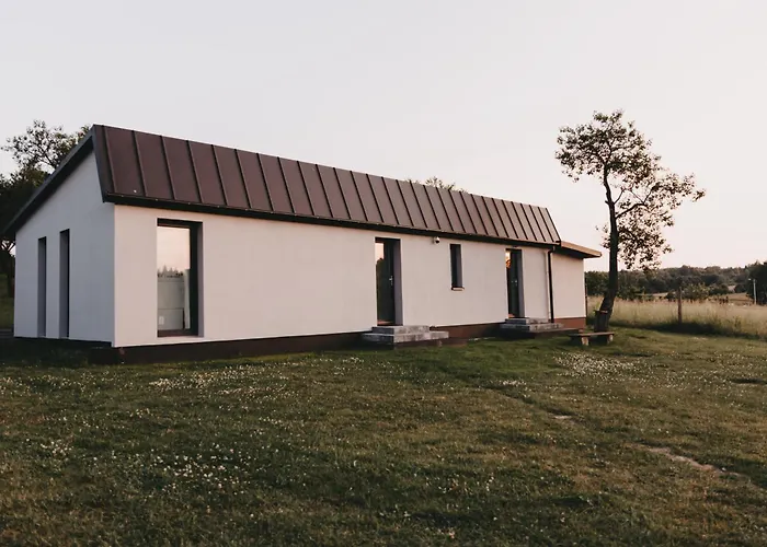 śliwkowy Sad-plum Orchard-jura *