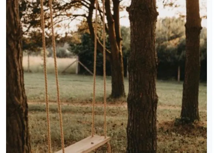 Sliwkowy Sad-plum Orchard-jura Casa vacanze