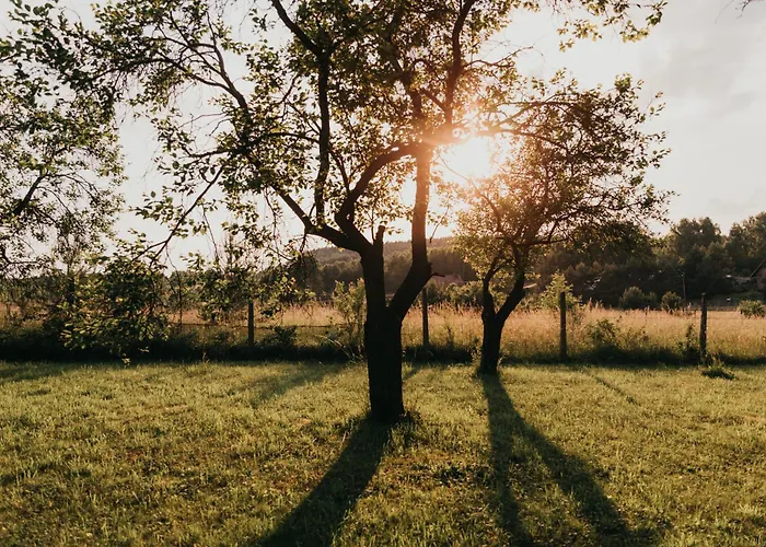 śliwkowy Sad-plum Orchard-jura Dom wakacyjny Mirow (Silesia)