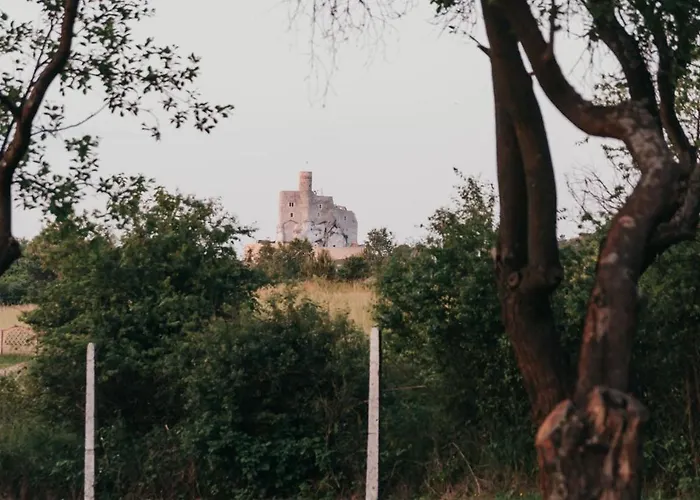 śliwkowy Sad-plum Orchard-jura *