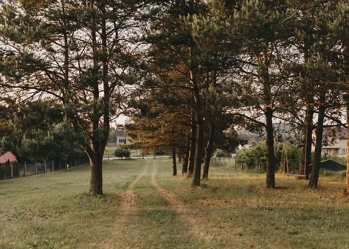 śliwkowy Sad-plum Orchard-jura *