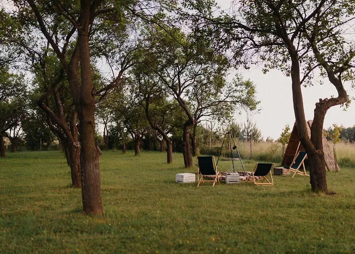 Casa vacanze Sliwkowy Sad-plum Orchard-jura