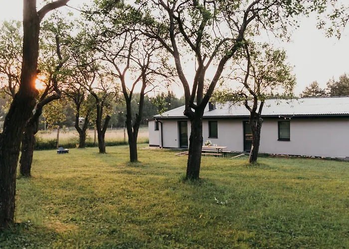 śliwkowy Sad-plum Orchard-jura *