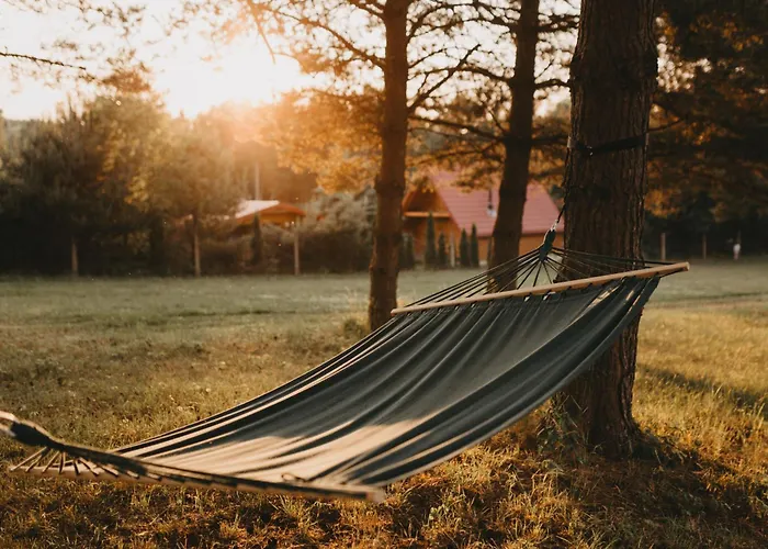 Dom wakacyjny śliwkowy Sad-plum Orchard-jura Mirow (Silesia)