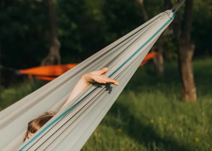 Sliwkowy Sad-plum Orchard-jura *