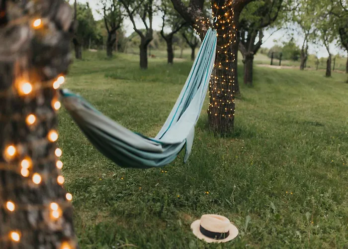 Sliwkowy Sad-plum Orchard-jura *