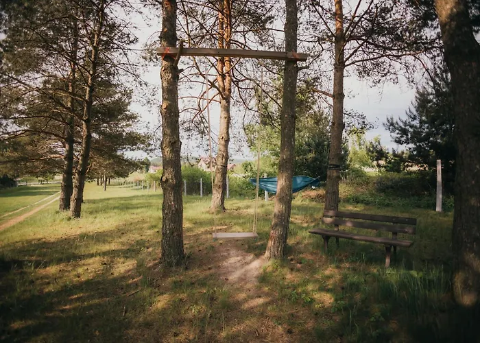 Sliwkowy Sad-plum Orchard-jura Mirow (Silesia)