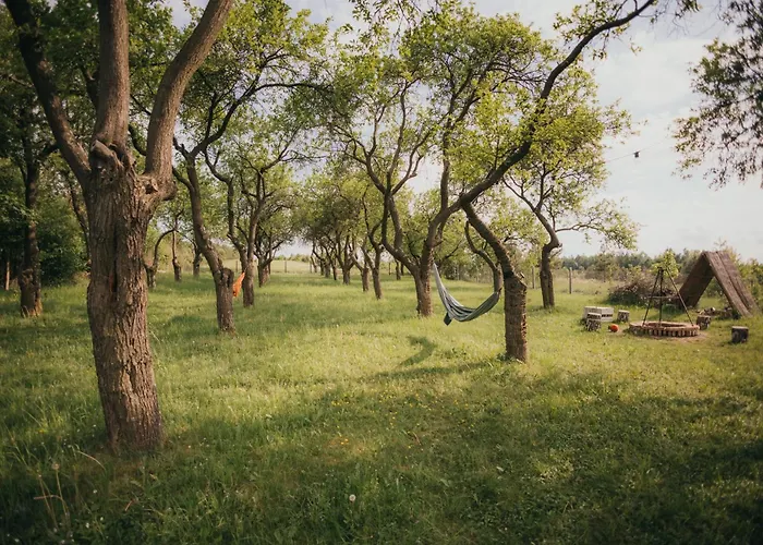 Dom wakacyjny śliwkowy Sad-plum Orchard-jura