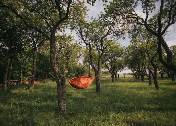 Dom wakacyjny śliwkowy Sad-plum Orchard-jura Mirow (Silesia)