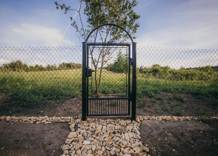 śliwkowy Sad-plum Orchard-jura Mirow (Silesia)