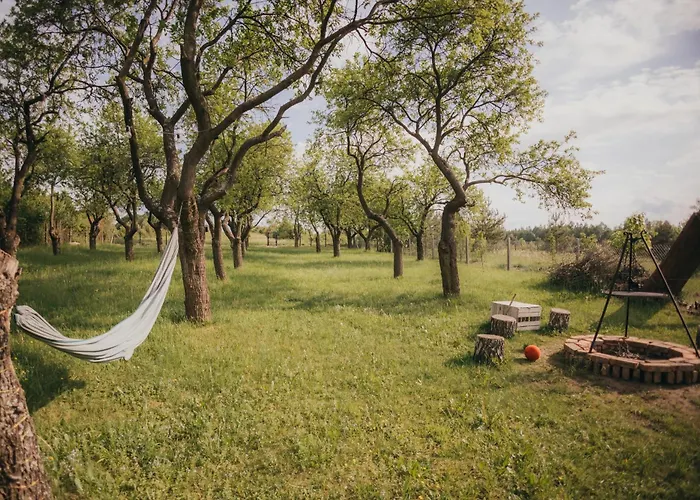 Sliwkowy Sad-plum Orchard-jura