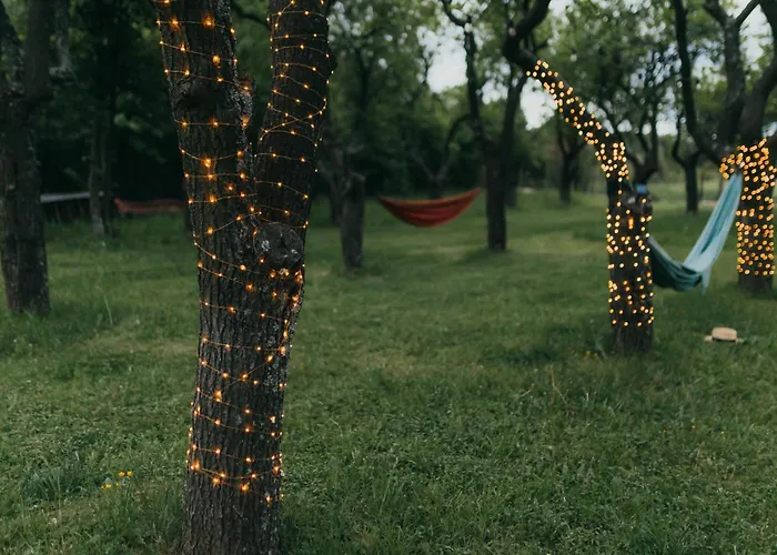 Dom wakacyjny śliwkowy Sad-plum Orchard-jura
